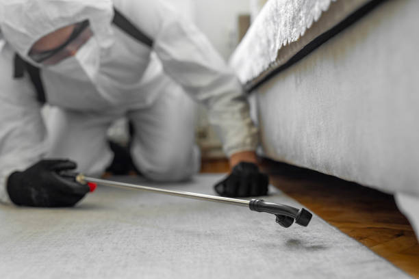 Professional Termite Control technician working in Cutlerville, MI