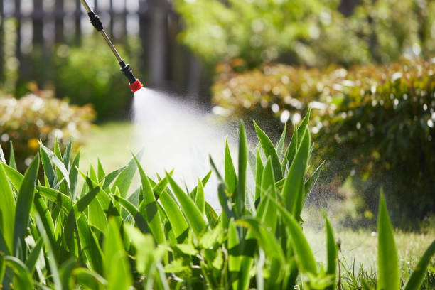 24/7 Emergency Termite Control experts in Cutlerville, MI