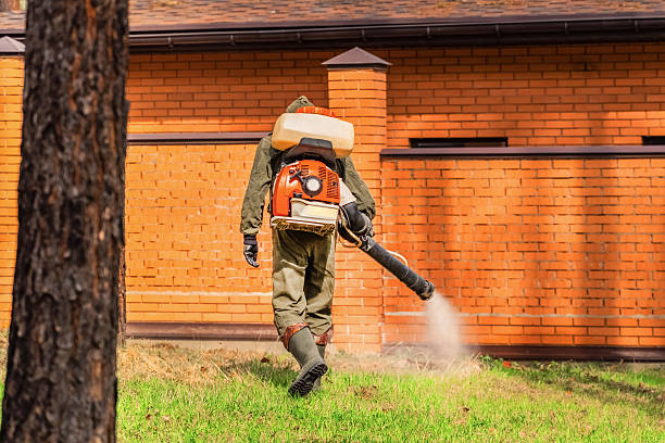 Trusted Bed Bug Control service in Cutlerville, MI - Nex Pest Control